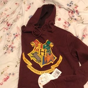 Men’s Harry Potter Hooded Sweatshirt